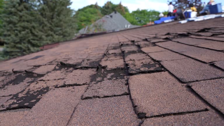 Best Gutter Installation and Repair  in Pine Hills, FL